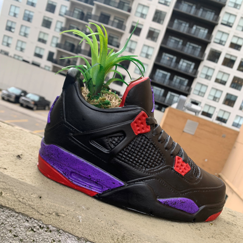 JORDAN 4 RETRO 'RAPTORS' SNEAKER PLANTER