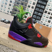 AJ4 RAPTORS PLANTER
